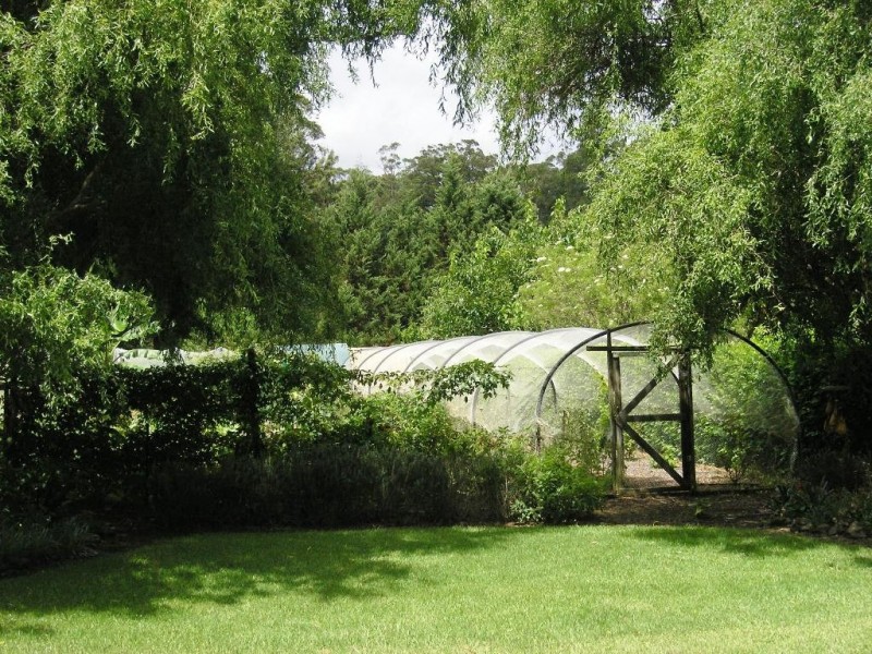 1389 Illaroo Road, Cambewarra NSW 2540