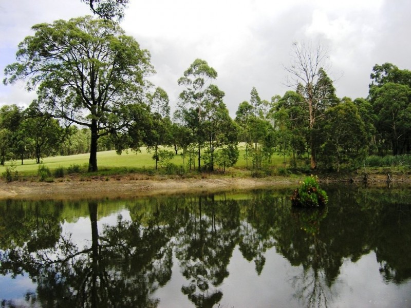 1389 Illaroo Road, Cambewarra NSW 2540