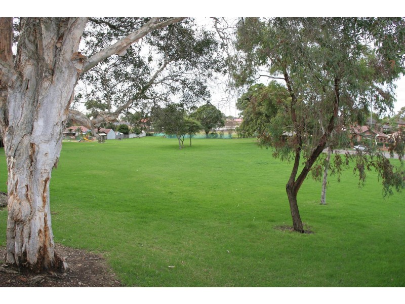 16 Macleod Street, Hurstville NSW 2220