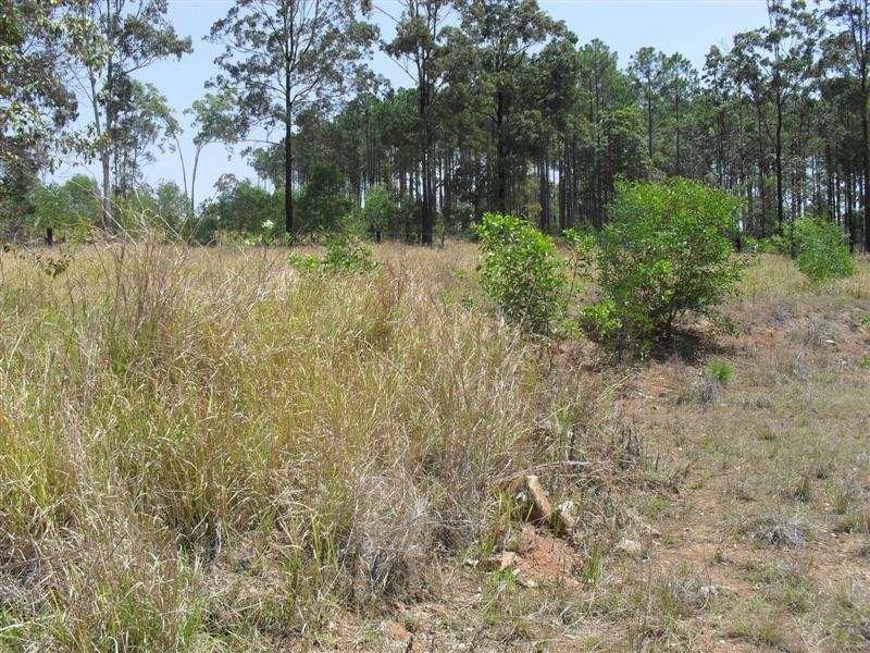 Lot 91 Arborfour Road, Glenwood QLD 4570