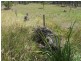 Lot 91 Arborfour Road, Glenwood QLD 4570