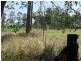 Lot 91 Arborfour Road, Glenwood QLD 4570