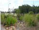 1 Parkview Lane, Murrumba Downs QLD 4503
