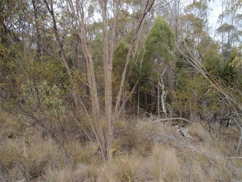 5 Ayres Rock Road, Millmerran QLD 4357