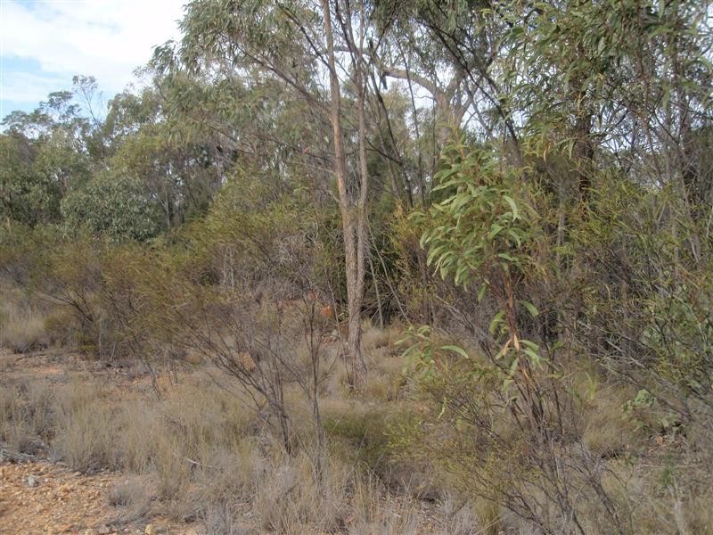 5 Ayres Rock Road, Millmerran QLD 4357