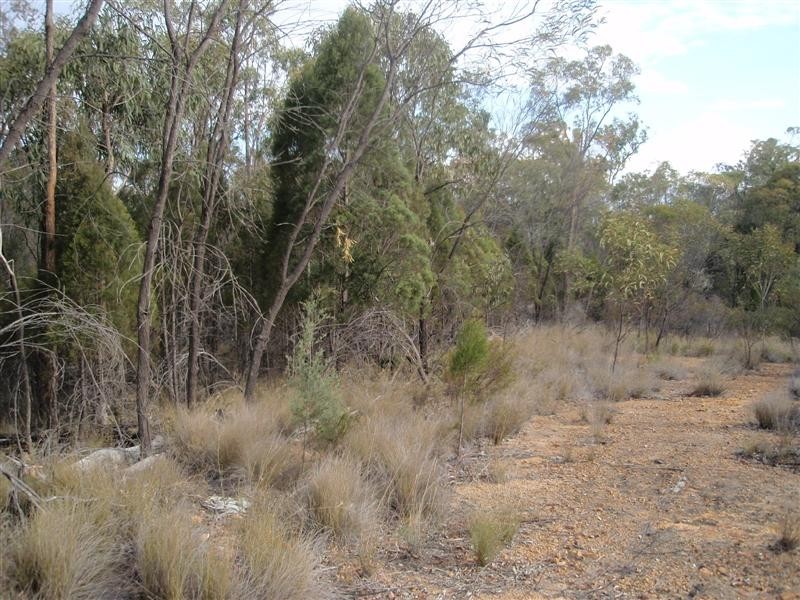 5 Ayres Rock Road, Millmerran QLD 4357