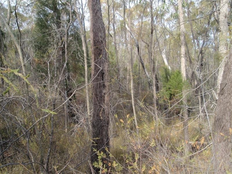 5 Ayres Rock Road, Millmerran QLD 4357