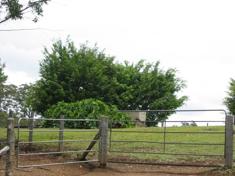 560 Bald Knob Road, Maleny QLD 4552