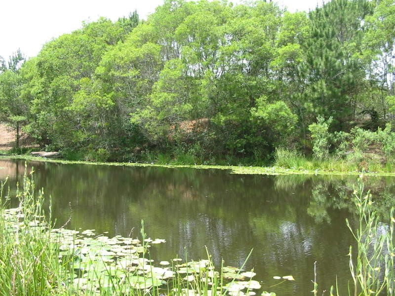 560 Bald Knob Road, Maleny QLD 4552