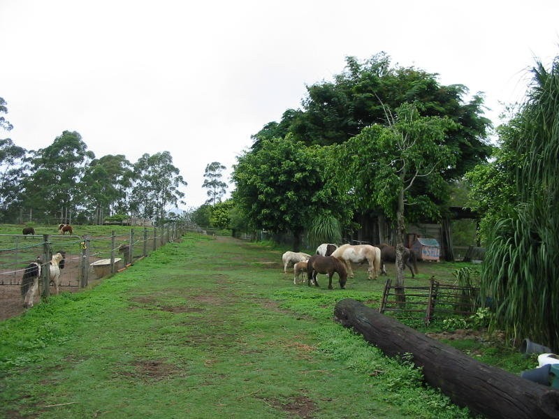 560 Bald Knob Road, Maleny QLD 4552