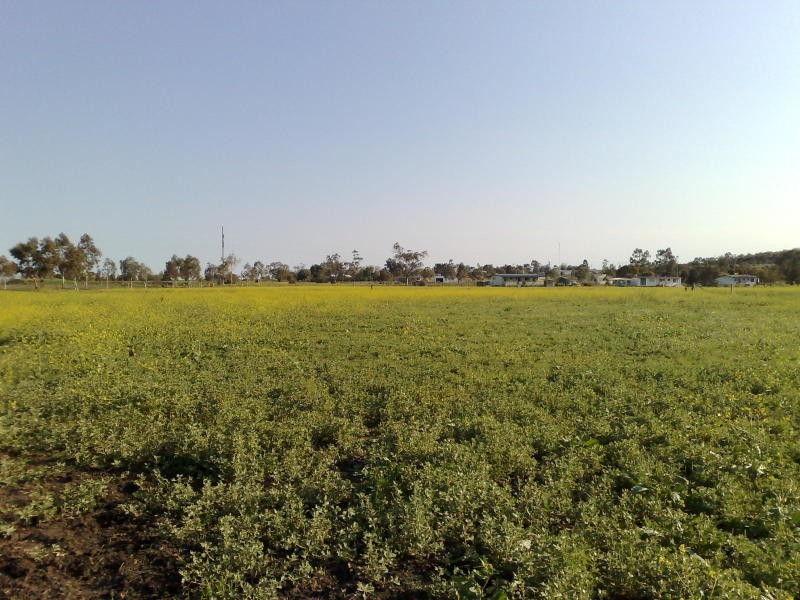 33 Earl Street, Jondaryan QLD 4403