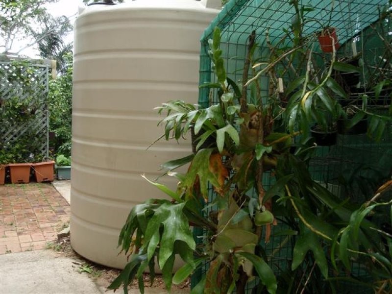 7 Janmarie Court, Kallangur QLD 4503