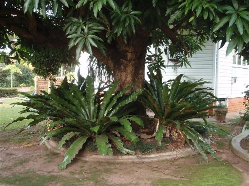 68 Old Gympie Road, Kallangur QLD 4503