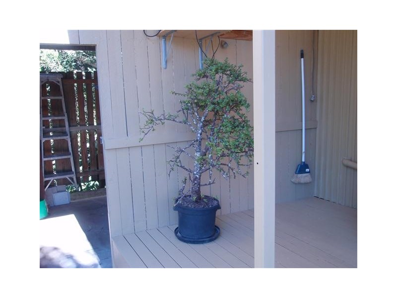 62 Arizona Pines, Dakabin QLD 4503