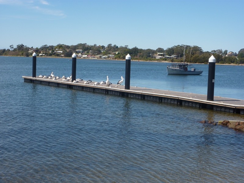 87 Adelaid Street, Greenwell Point NSW 2540