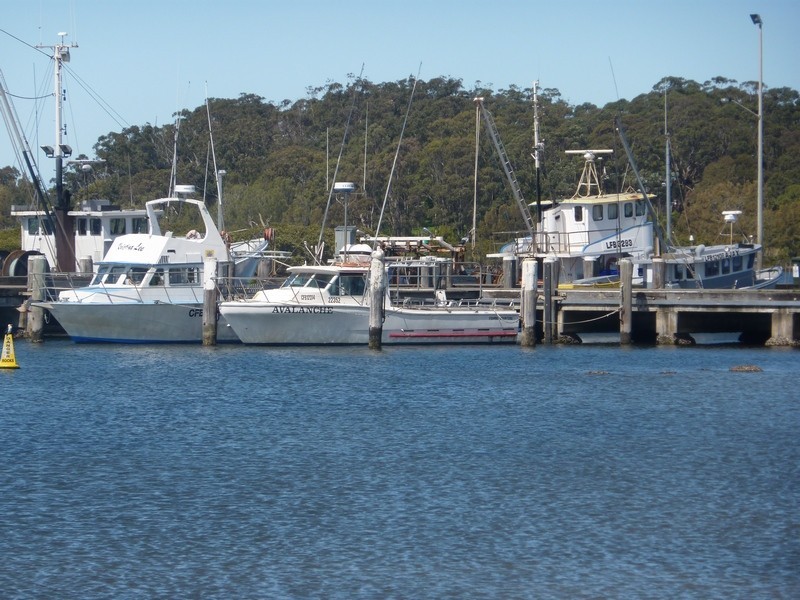 87 Adelaid Street, Greenwell Point NSW 2540