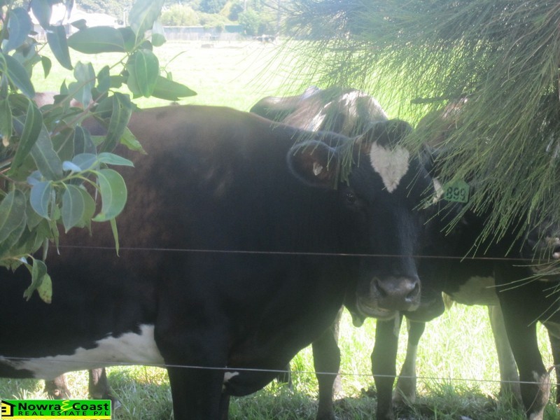 1033a Greenwell Point Road, Greenwell Point NSW 2540