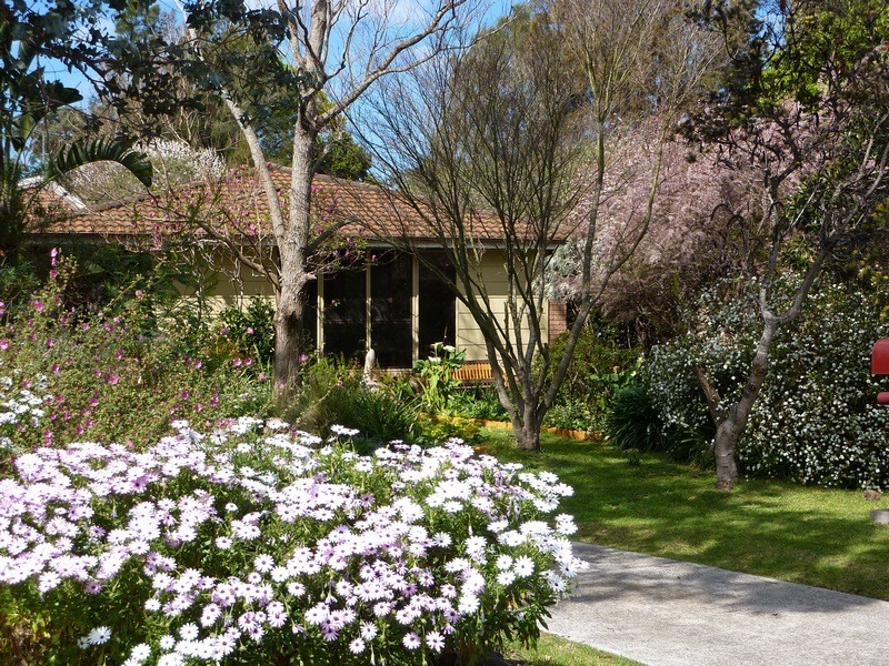 40 Orient Avenue, Orient Point NSW 2540