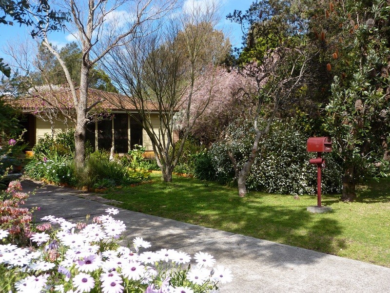 40 Orient Avenue, Orient Point NSW 2540