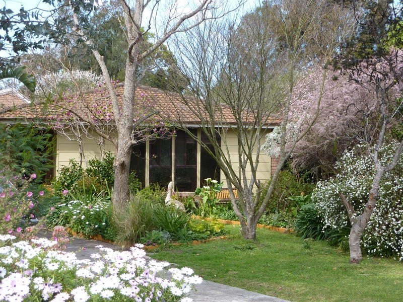 40 Orient Avenue, Orient Point NSW 2540