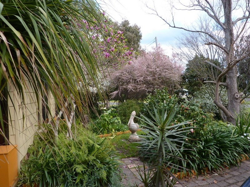 40 Orient Avenue, Orient Point NSW 2540