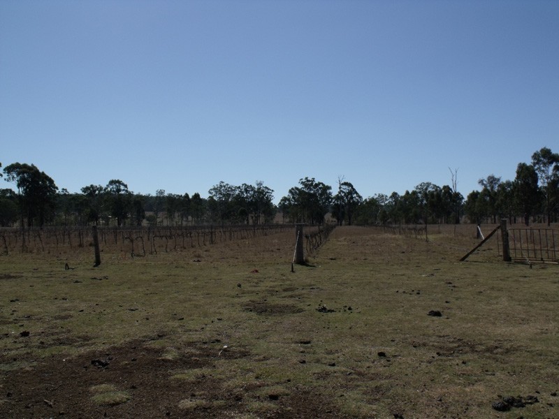 Wattle Camp QLD 4615