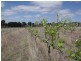 Nanango QLD 4615