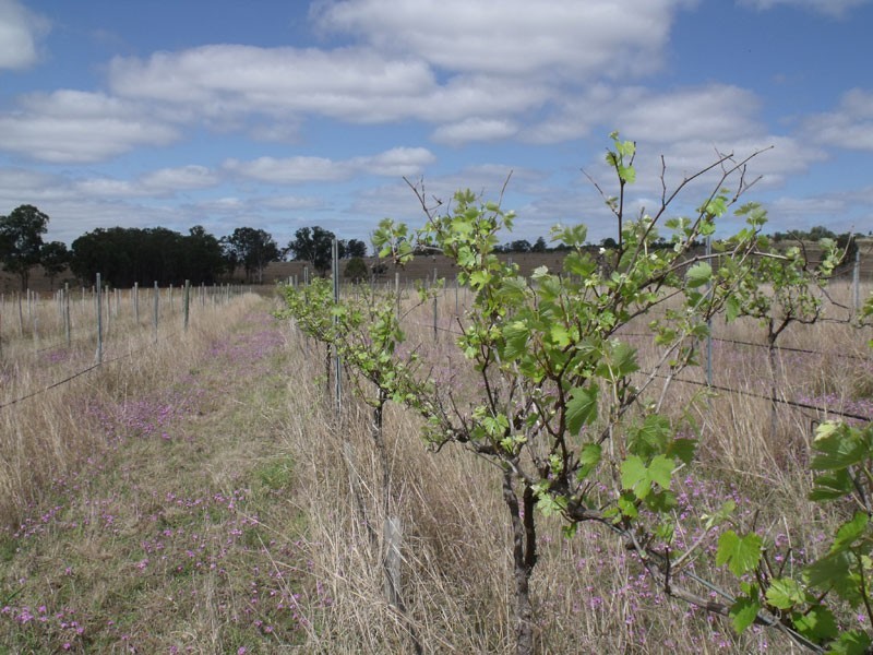 Nanango QLD 4615