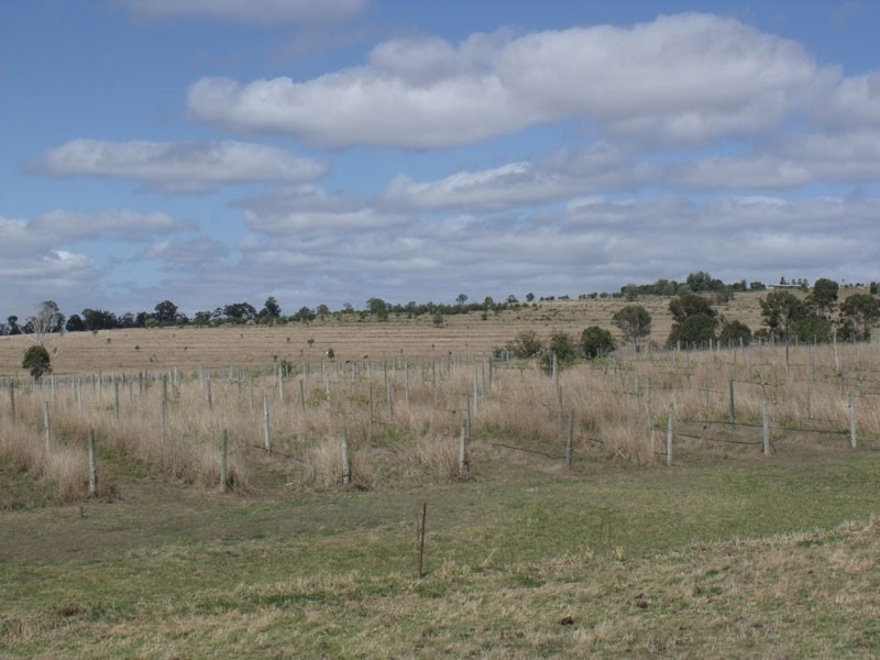 Nanango QLD 4615