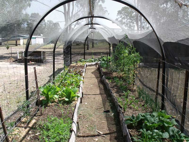 Wattle Camp QLD 4615