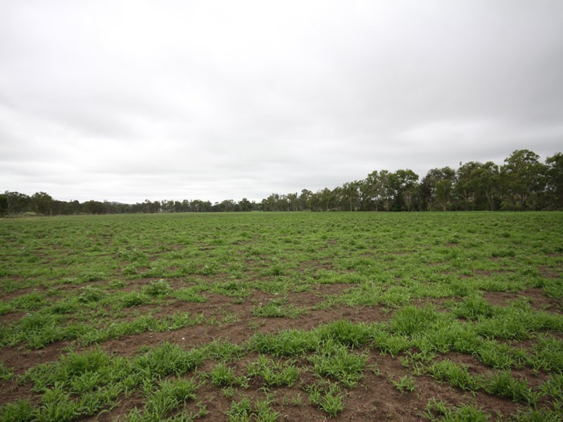 Inverlaw QLD 4610