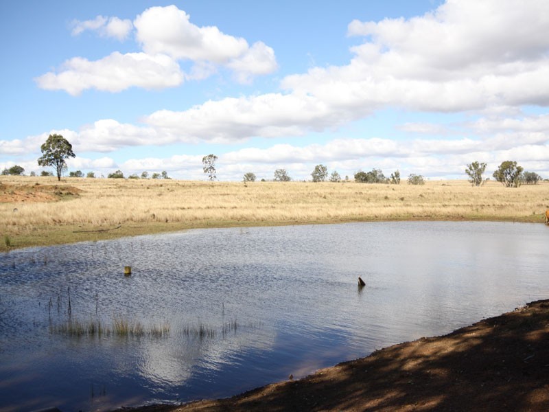 Gordonbrook QLD 4610