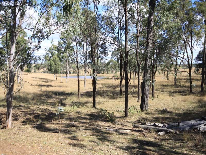 Gordonbrook QLD 4610