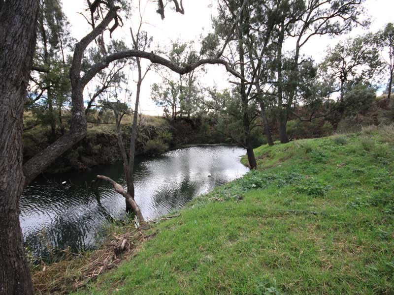 Kingaroy QLD 4610