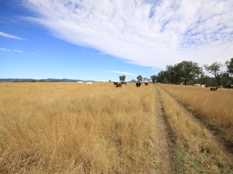 Kingaroy QLD 4610