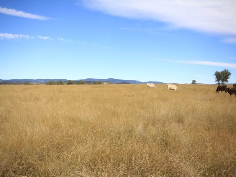Kingaroy QLD 4610