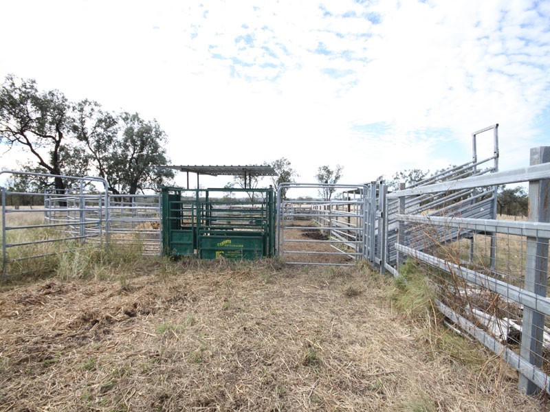Kingaroy QLD 4610
