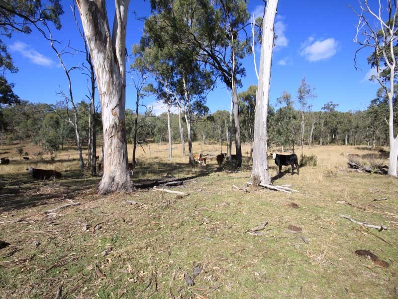 Wengenville QLD 4615