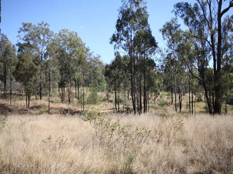 Wattle Camp QLD 4615