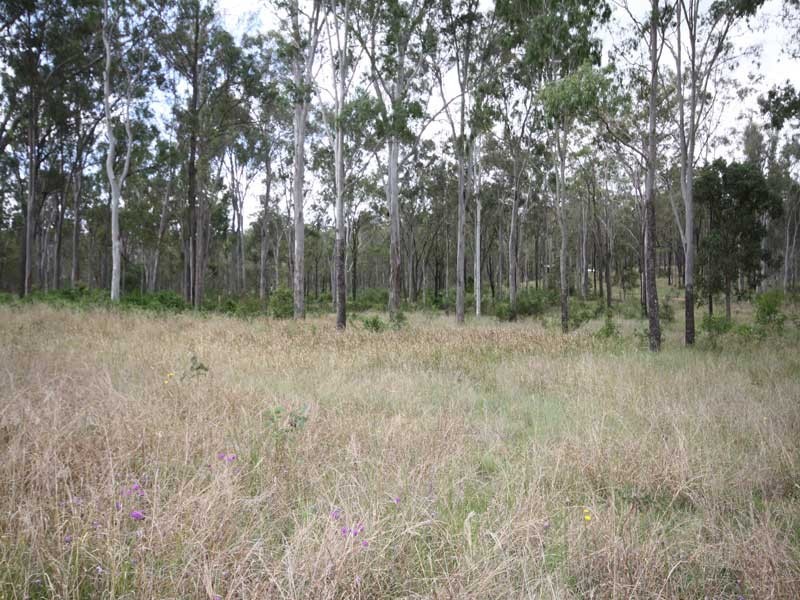 Wattle Camp QLD 4615