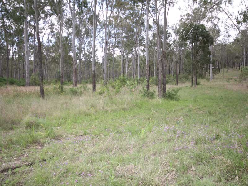 Wattle Camp QLD 4615