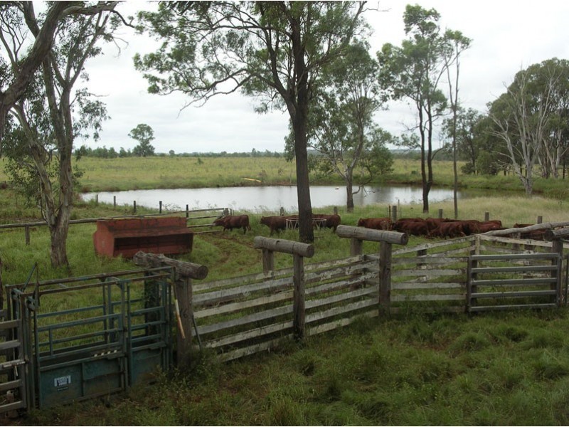 Kingaroy QLD 4610