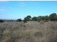 Kingaroy QLD 4610