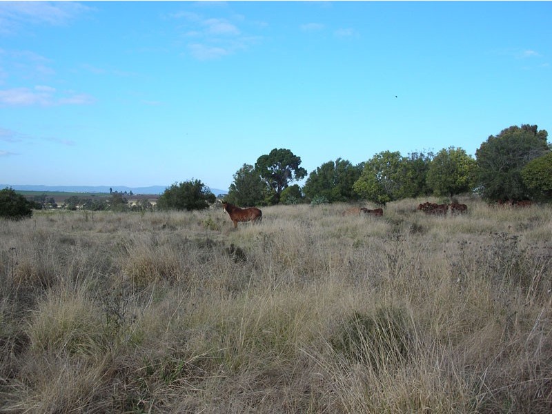Kingaroy QLD 4610