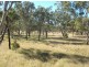 Kingaroy QLD 4610