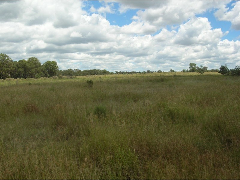 Kingaroy QLD 4610