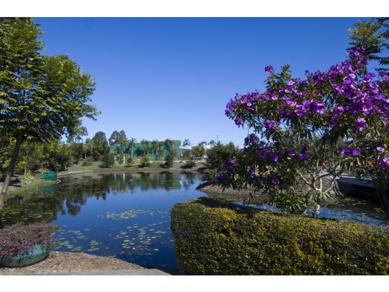 162 Siganto Drive, Helensvale QLD 4212