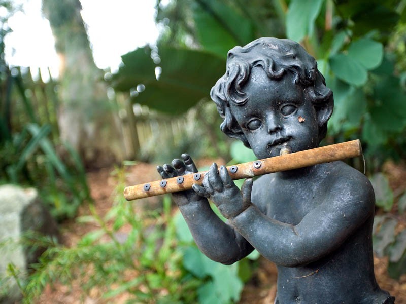 20 Littler St, Sunnybank QLD 4109