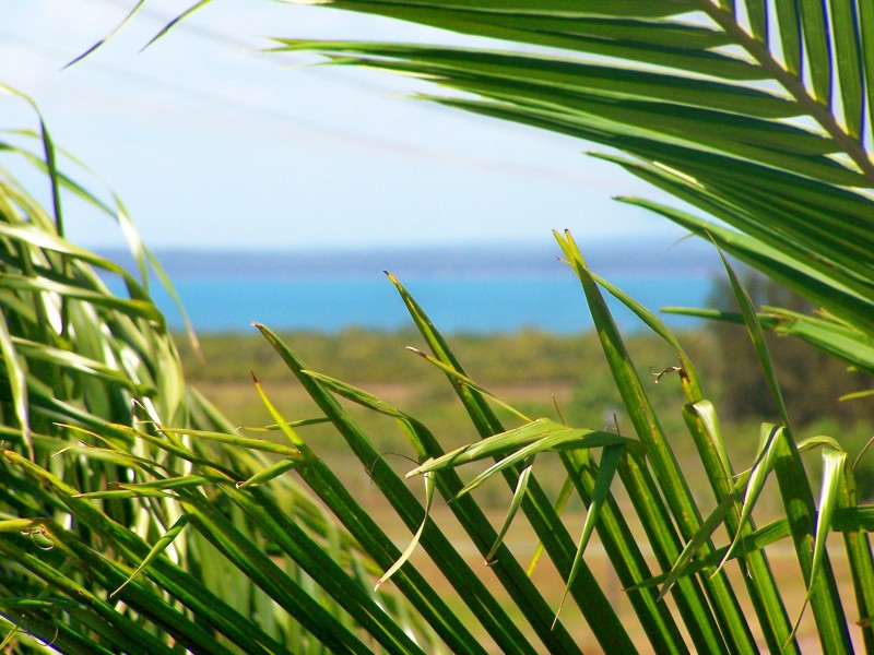 131 BENGTSON RD., River Heads QLD 4655