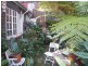 16 Creek Street, Forest Lodge NSW 2037